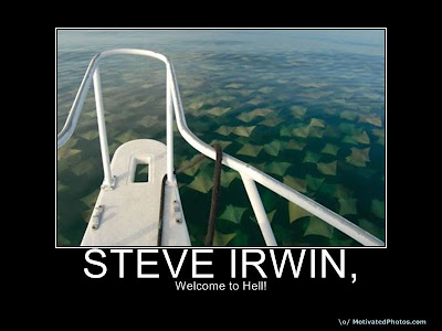 Steve Irwin Demotivational Poster