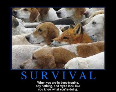 Survival Demotivational Poster