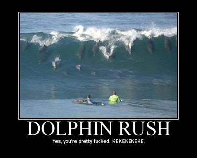 Dolphin Rush Demotivational Poster