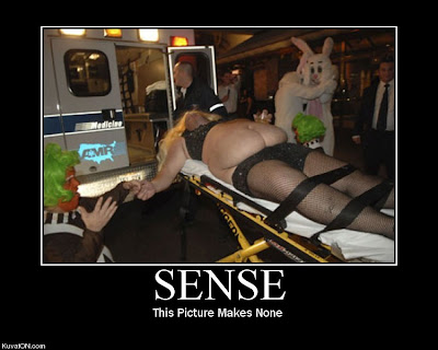 Sense Demotivational Poster