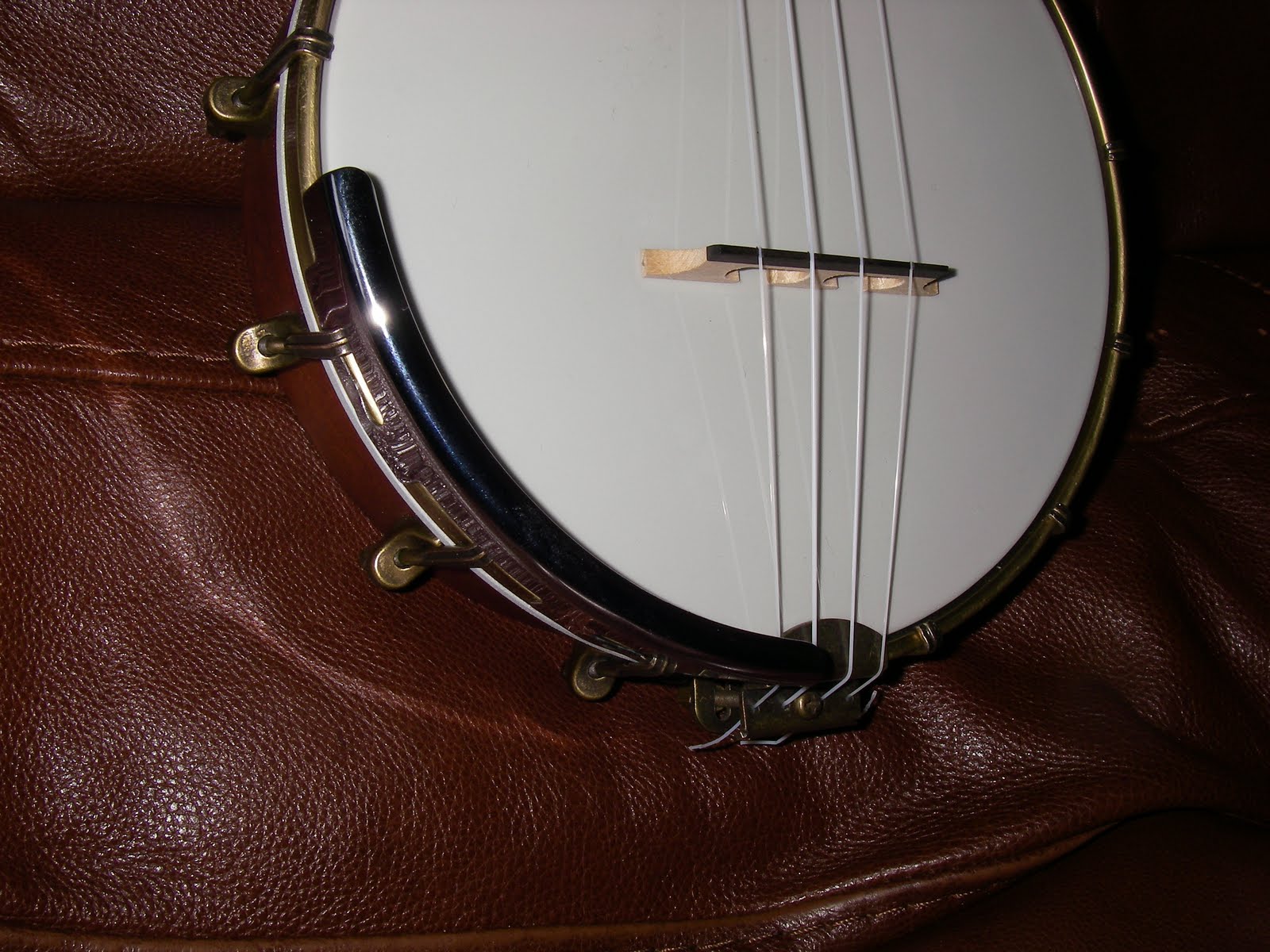 Ozark Mandolin Banjo