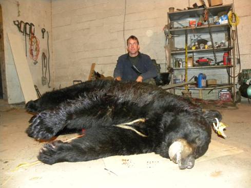 bear record county killed pa pennsylvania shot state pike monroe bozo biggest crossbow taken largest harvest 2010 breaking ever pocono