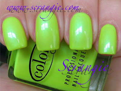 Scrangie: Color Club Electro Candy Collection Summer 2009