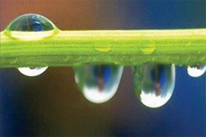 [drip.jpg]