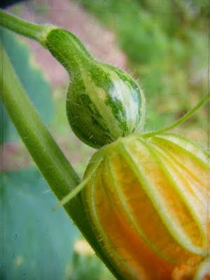 [atg_2009_AUG18_tennessee-1.jpg]