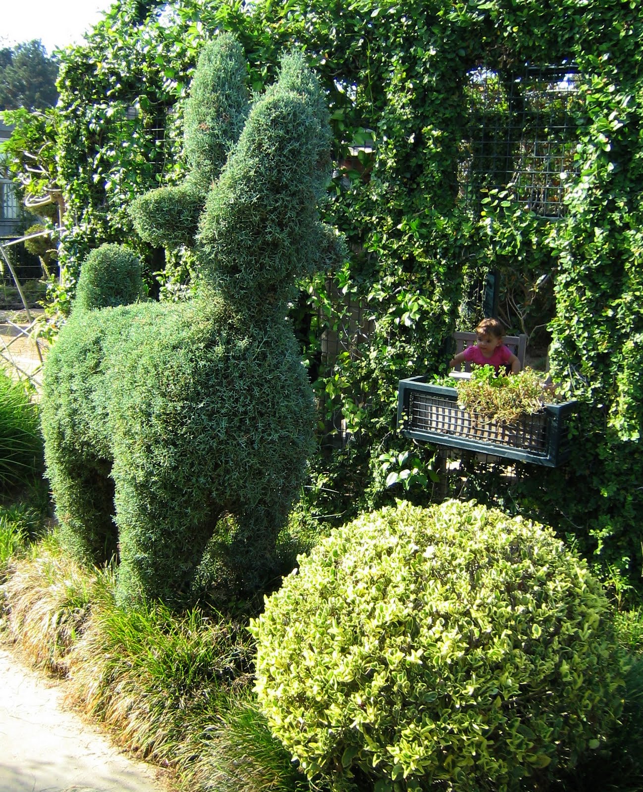 [huntington-cg-topiary.jpg]