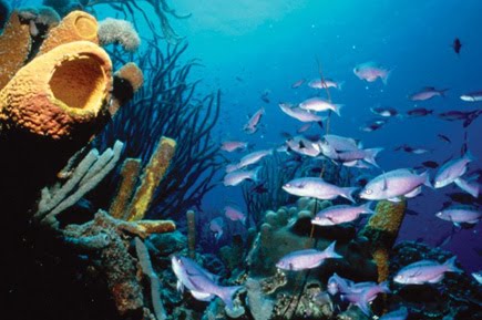 BONAIRE