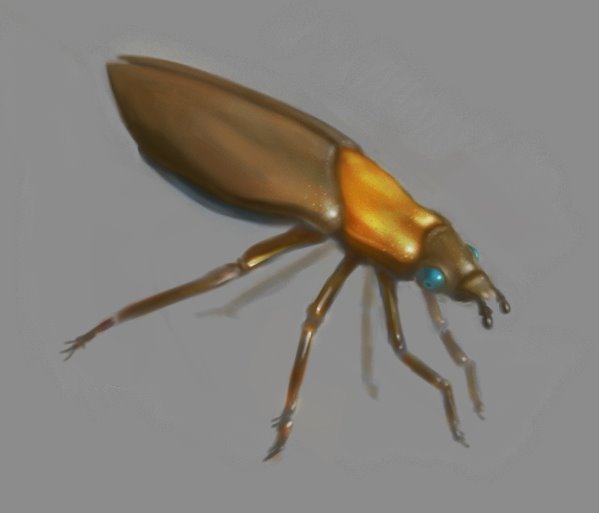 [beetle.jpg]
