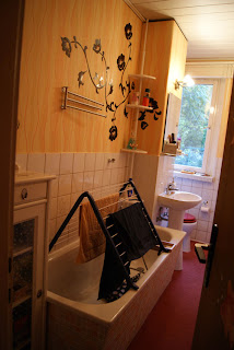 In Halle werden die Dummen nicht alle...