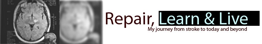 Repair, Learn and Live