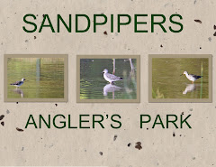 SANDPIPERS AT ANGLER'S PARK
