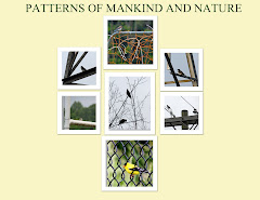 PATTERNS OF MANKIND AND NATURE