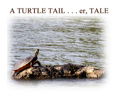 A TURTLE TAIL . . . er TALE