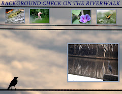 BACKGROUND CHECK ON THE RIVERWALK