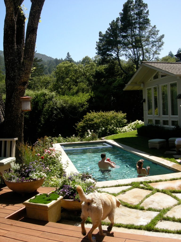 Mazur Family The Garden Of Eden Aka The Crow S House In Kentfield