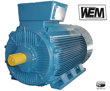 WEM Electric Motors High Efficiency