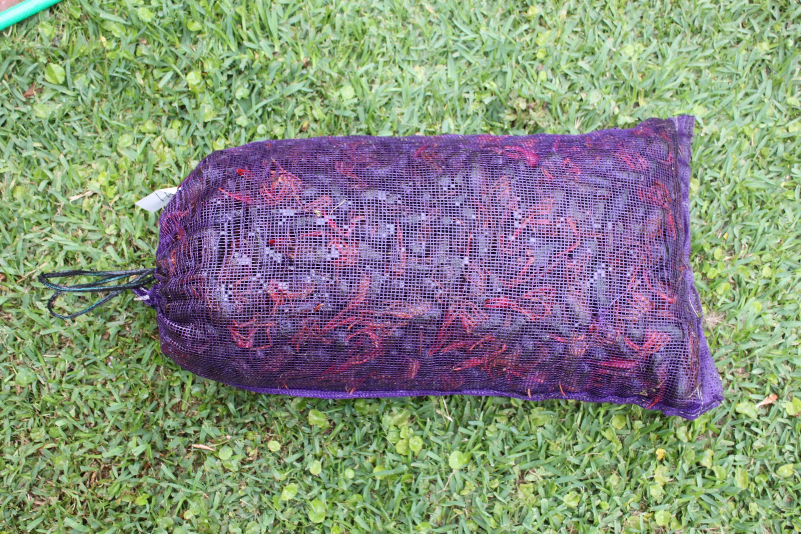 1 Acre Wood Crawfish Boil 101