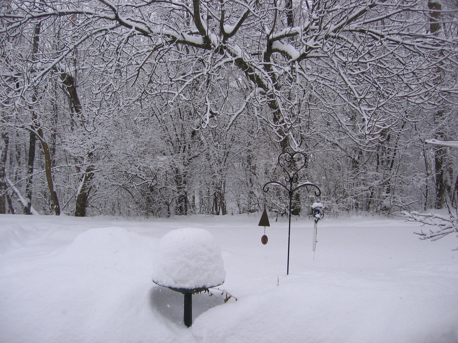 [Winter2008.jpg]