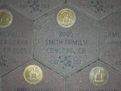 Our Disneyland Brick