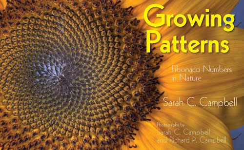 [growing+patterns+cover.jpg]