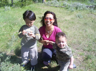 2008 Yellowstone, Wyoming