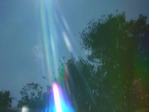 [Our+Lady+in+Sao+Jose.jpg]