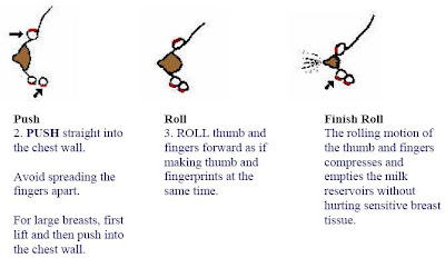 This Manual Breast Pump Hides the Secret to Perfect Milk Expression No One Talks About