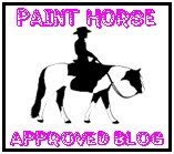 Paint Horse Award