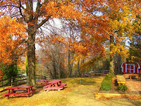 Autumn Nature Scenery Wallpaper