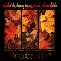 Thanksgiving Autumn Fall Season Cards