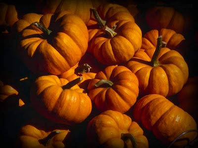 Harvest Thanksgiving Celebrations