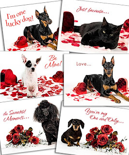 Valentines Day Note Cards