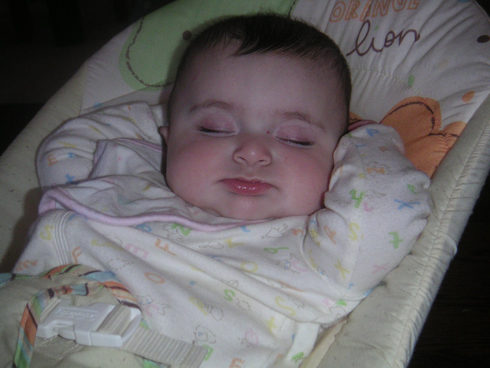 [PICT0012.JPG]