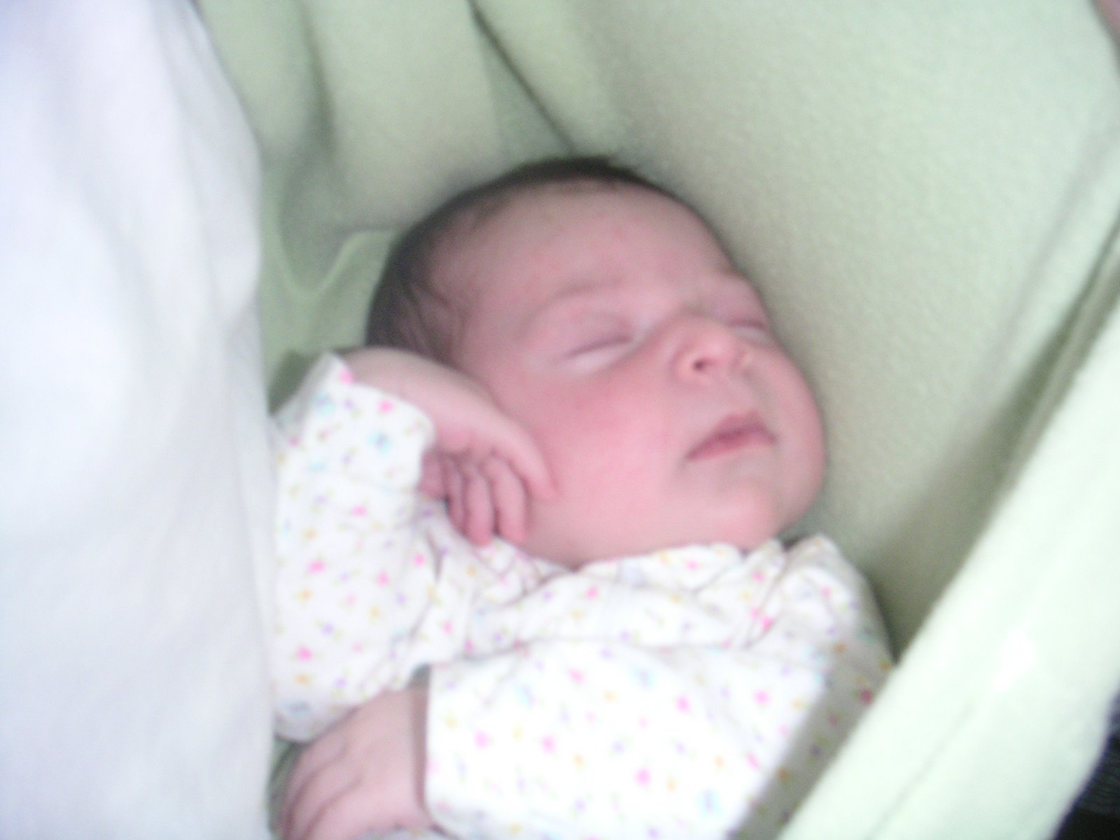[PICT0002.JPG]