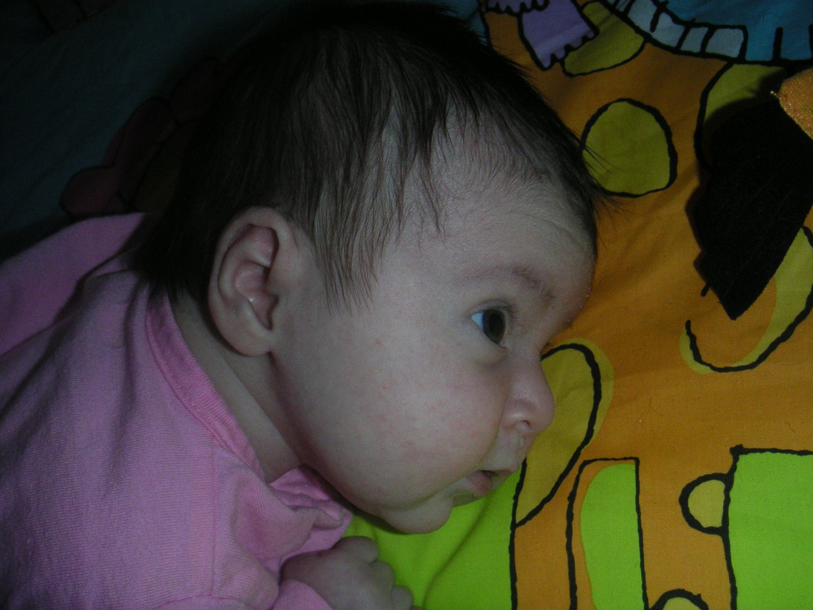[PICT0022.JPG]