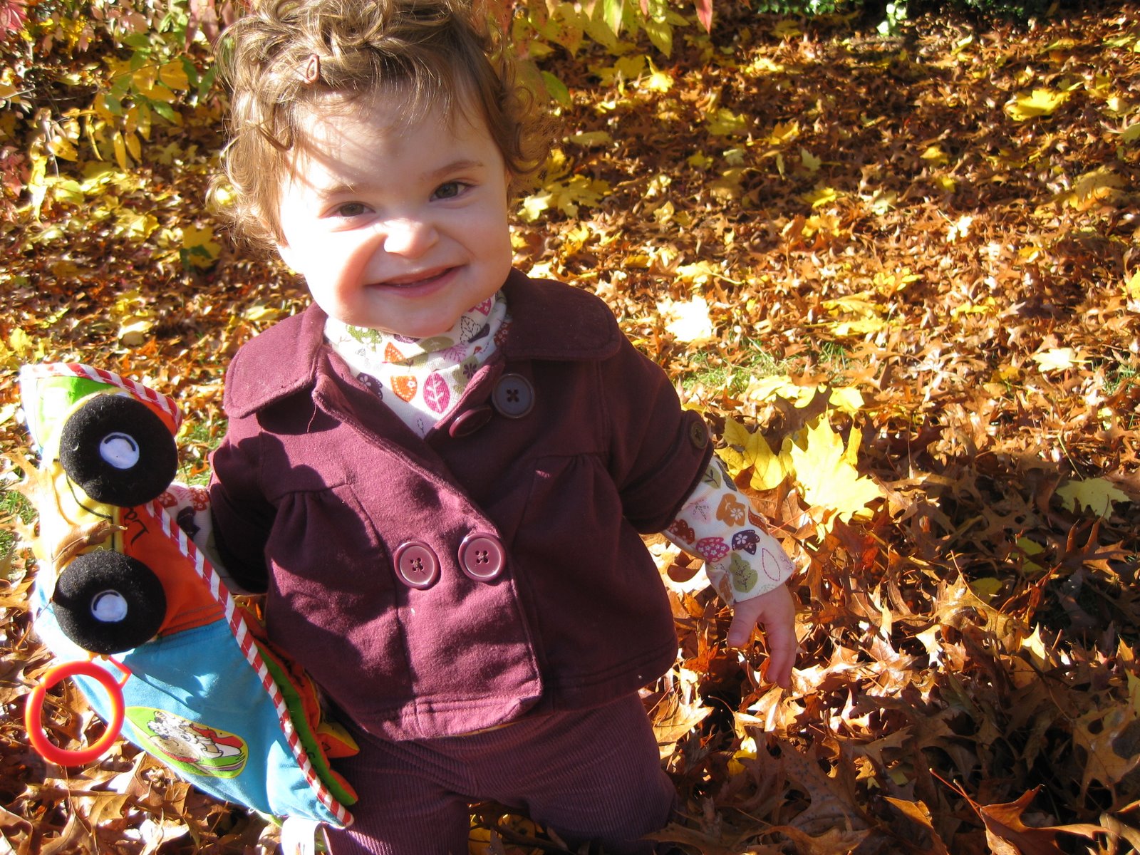 [IMG_0724.JPG]