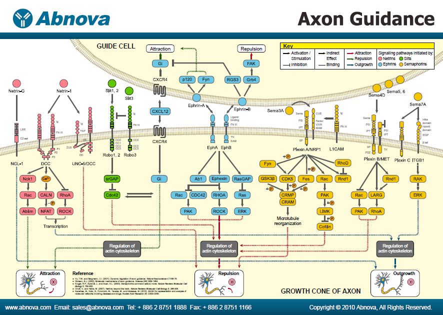 Аксон 02 схема электрическая