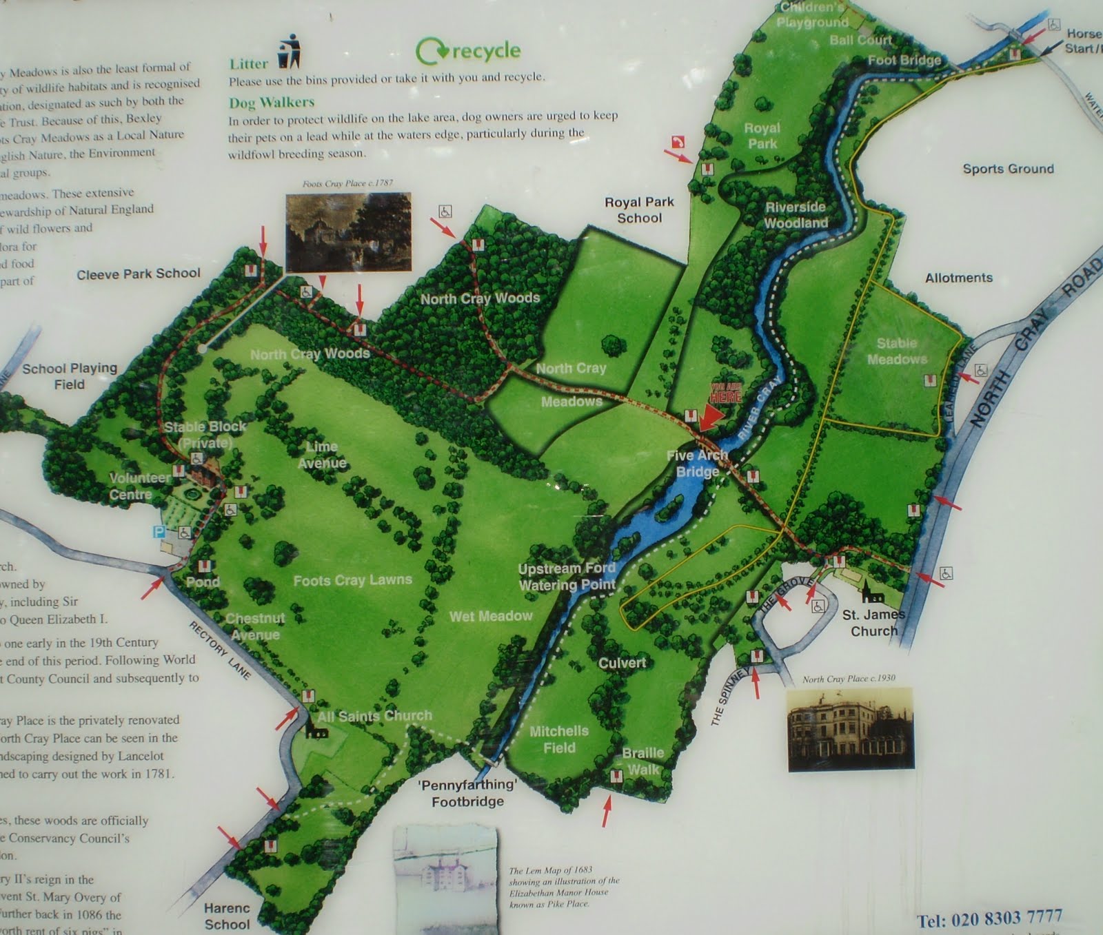 the-big-dance-walk-big-dance-walk-2010-footscray-meadows