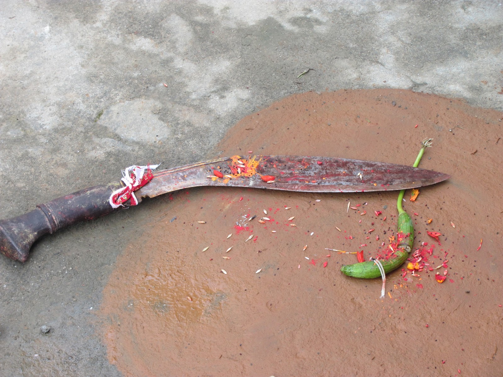 Worshipping kukri for religious purpose