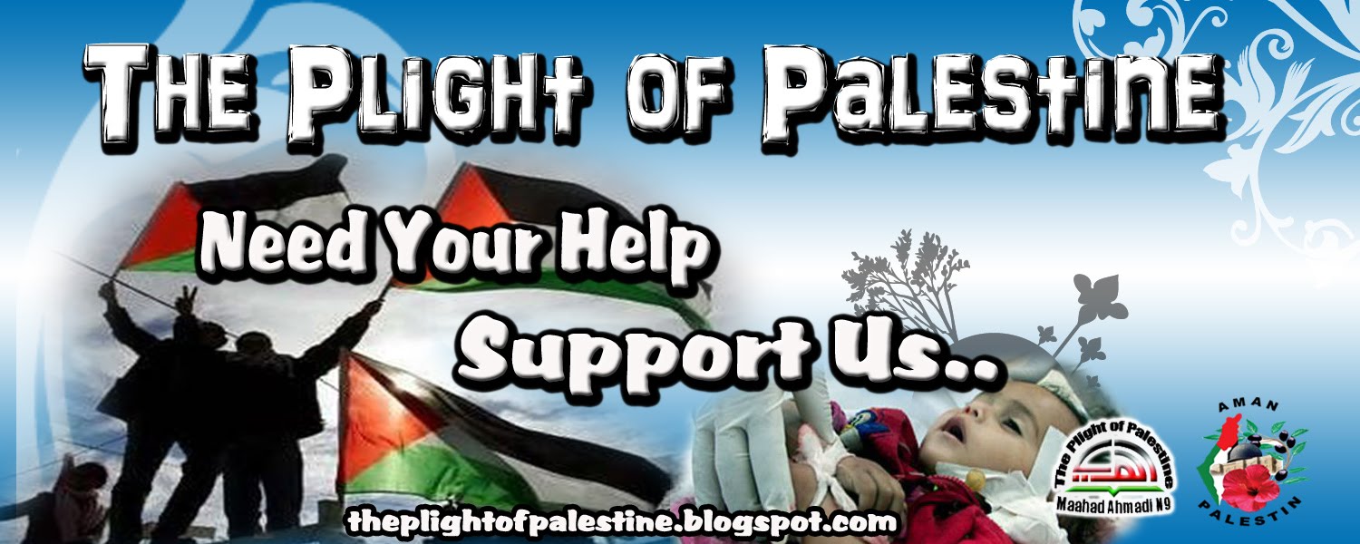 The Plight Of Palestine