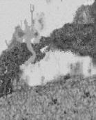 Two entities riding a Flux-tube
