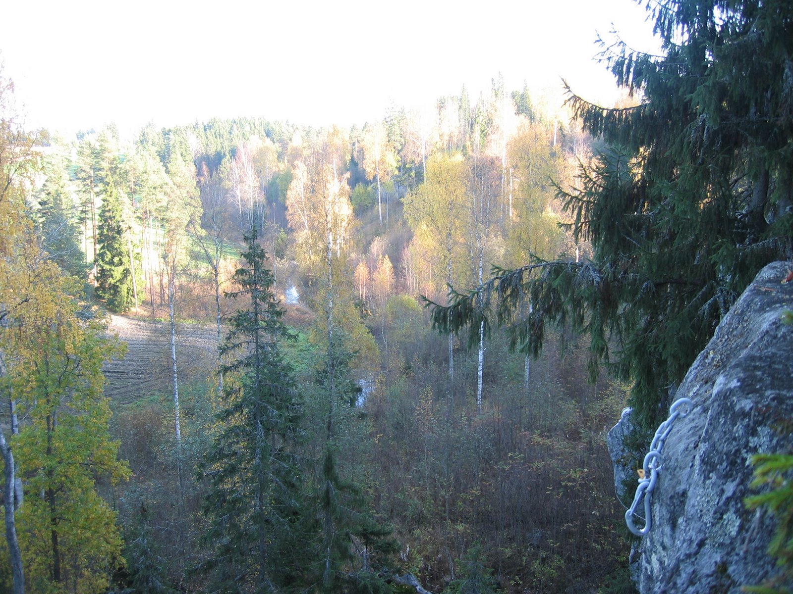 [135_3584.JPG]
