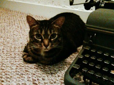 [2407382740_442dd25162.jpg]