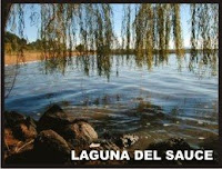 Laguna del Sauce