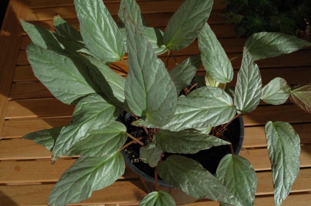 [DSC_7217_1024x680.jpg]