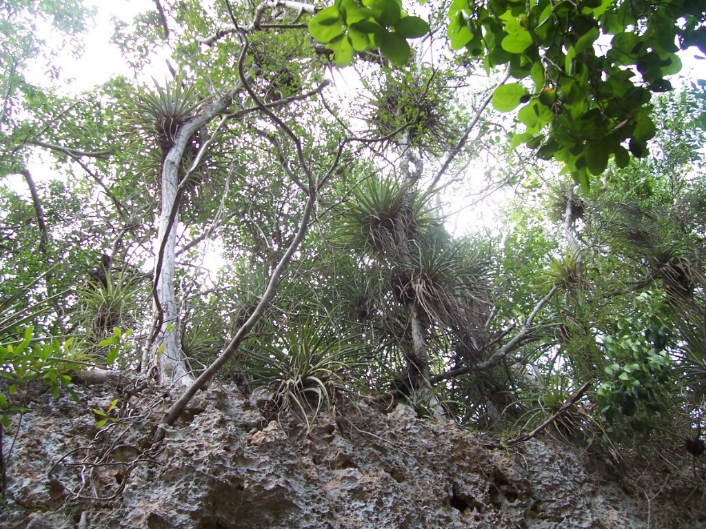 [Juanjo--Cuba+072_1024x768.jpg]