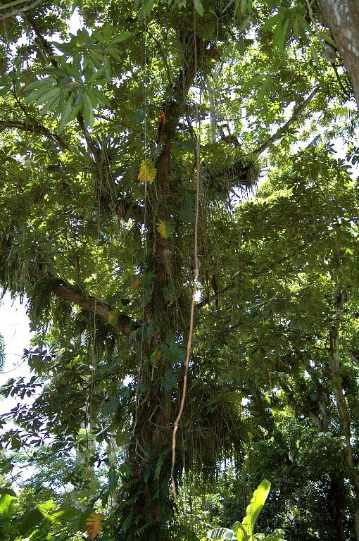 [DSC_2353_510x768.jpg]