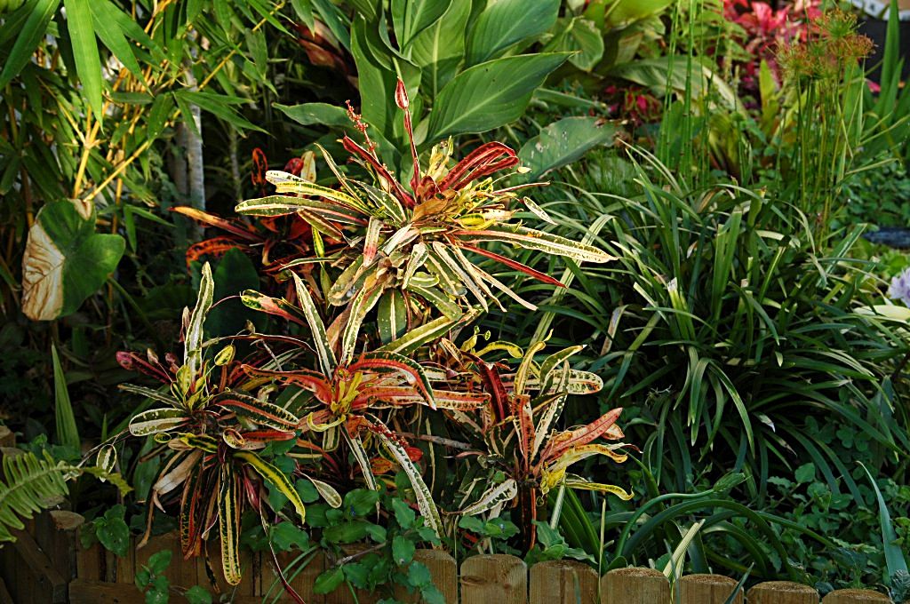 [DSC_6305_1024x680.jpg]