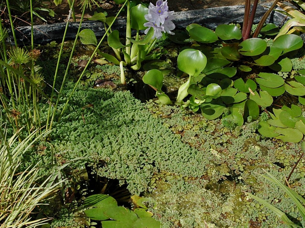 [DSC_5590_1024x766.jpg]