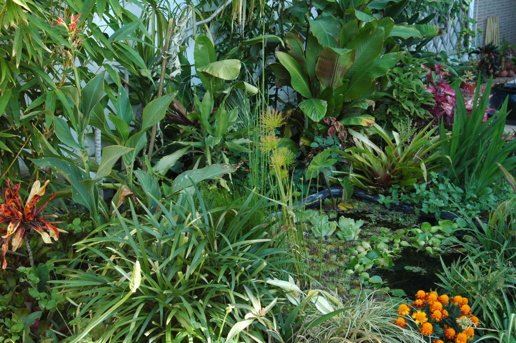 [DSC_6658_1024x680.jpg]